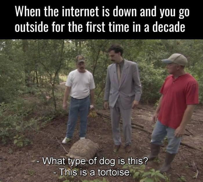 Exploring Nature When The Internets Down